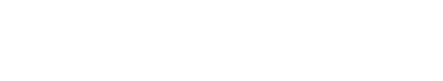 The Detailing Consultants