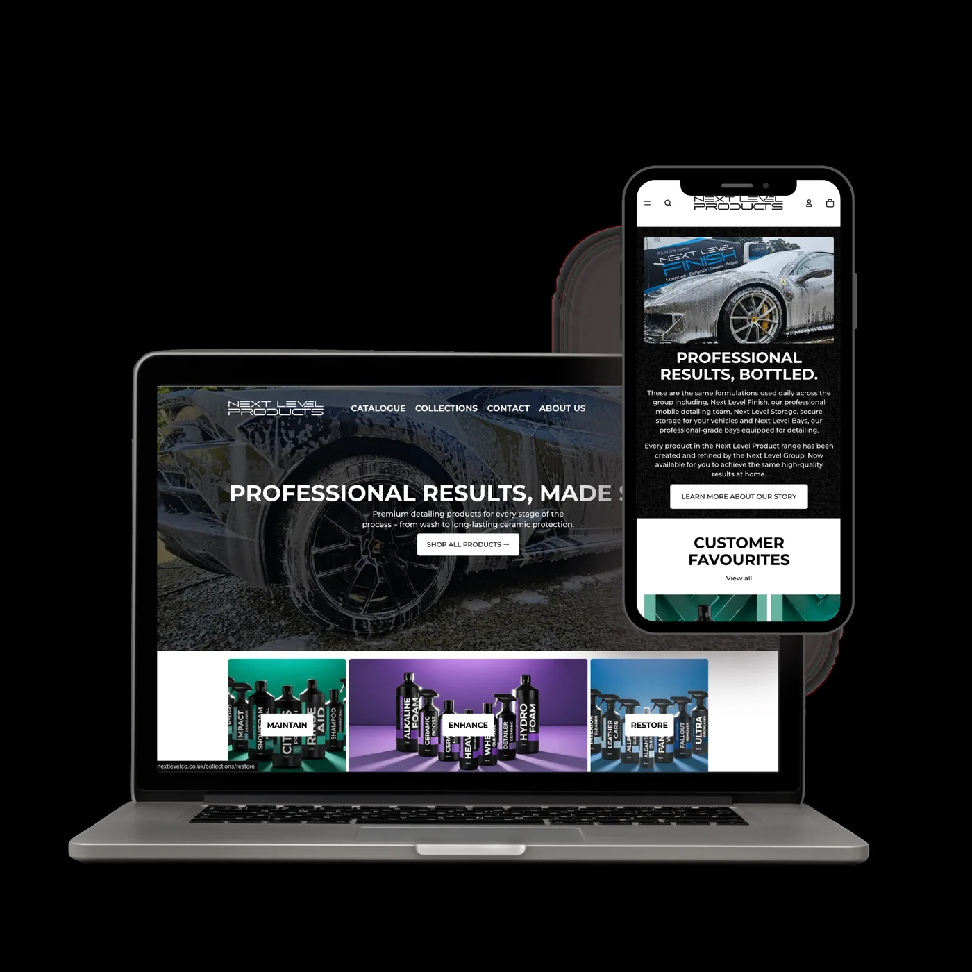 Next Level Finish website preview